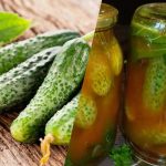 Come chiudere i cetrioli nel ketchup al peperoncino per l’inverno: