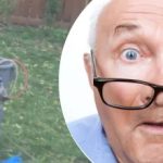 Lo strano ritrovamento vicino all’albero ha lasciato il vicino perplesso: