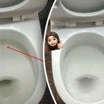 Un prodotto sbianca la tazza del water fino a renderla